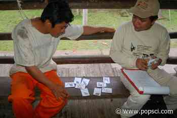 Want to better understand the biodiversity of a forest? Ask the locals. - Popular Science