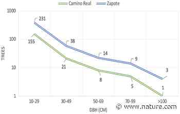Carbon storage estimation in a secondary tropical forest at CIEE Sustainability Center, Monteverde, Costa Rica | Scientific Reports - Nature.com
