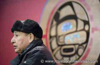 B.C. government falling short with old-growth forest protection, say Indigenous leaders - Cranbrook Townsman