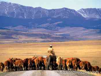 David Staples: Other Canadians don't much like Alberta? Thank goodness for that