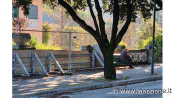 Muro della Passeggiata Tutto fermo da 5 anni - LA NAZIONE