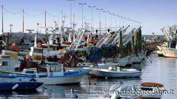 Puglia, L'Abbate: 800mila euro per il fermo pesca 2020 - StatoQuotidiano.it