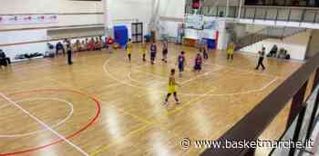 La Victoria Fermo si butta via e lascia strada al Grottammare Basketball - Serie D Regionale Girone B - Basketmarche.it