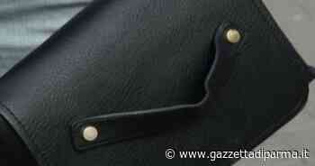 Fermo violenti e vigilanza su vittime, ok a ddl per donne - Gazzetta di Parma