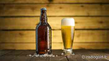 Birre Vive a Vigevano sotto la Torre dal 10 al 12 dicembre 2021 - Radiogold