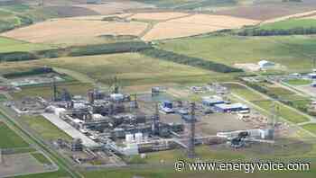 St Fergus terminal owner joins Acorn CCS project as partner - Energy Voice