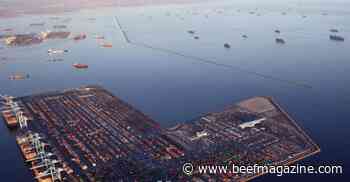 Supply chain bottlenecks hitting all sectors, including ag