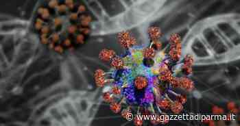 A Parma soltanto 13 nuovi casi di contagio, ma c'è ancora un morto: un uomo di 97 anni - Gazzetta di Parma