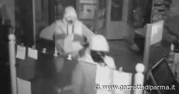 Blitz notturno in tabaccheria: bottino di 10mila euro - Gazzetta di Parma