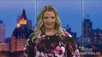 Holiday Happiness Tips Dr Gillian Mandich