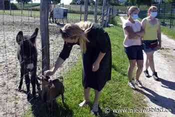 Provincie investeert in verdere professionalisering van dierenasielen