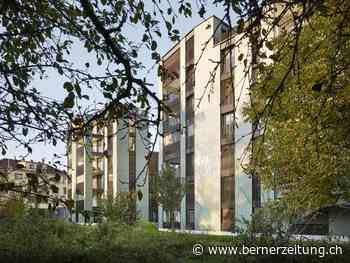 Architektur in Zürich – Licht, Luft und Naturnähe für alle - BZ Berner Zeitung