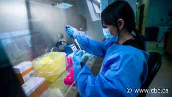 Omicron variant not yet detected in Saskatchewan