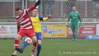 Training statt Nachholspiel in Luckenwalde - gute Nachrichten von FSV-Keeper André Thoms - Sportbuzzer