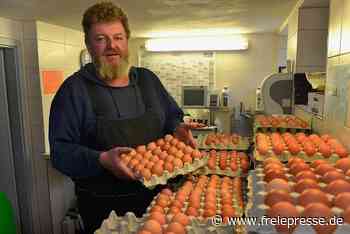 Warum das Striegistaler Wiesenei immer teurer wird - Freie Presse