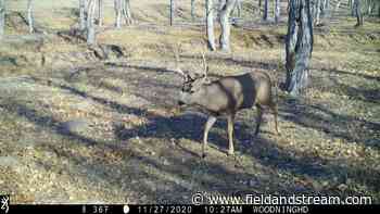Utah Could Ban Wireless Trail Cams for Hunting - Field & Stream