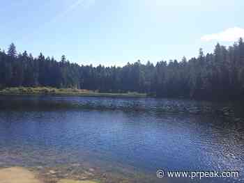 qathet Regional district renews lease for Texada Island trail and recreation area - Powell River Peak