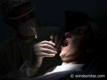 St. Clair partners with firm to attract internationally-trained dentists - Windsor Star