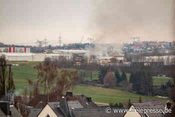 Rauchwolke über Burgstädt - Freie Presse