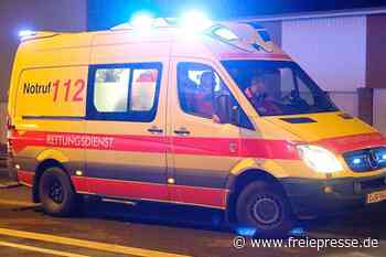 Katze ausgewichen: Autofahrerin wird bei Unfall schwer verletzt - Freie Presse