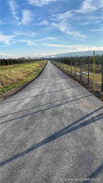 Neue Radwegverbindung in Richtung Sinzig - Blick aktuell