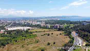 Lutte contre les inondations: Mandelieu-La Napoule devient propriétaire des Vergers de Minelle