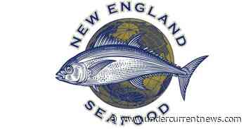 Sealaska's NESI acquires local Grimsby site for future factory expansion - Undercurrent News