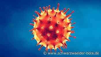 200 Neuinfektionen: Corona-Lage im Kreis Calw bleibt angespannt