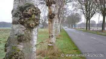 Gemeinde Lilienthal plant Sanierung der Lüninghauser Straße - WESER-KURIER - WESER-KURIER