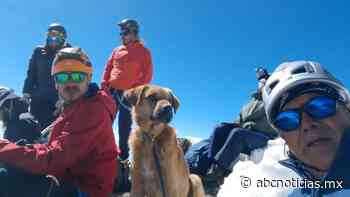 Rescatan a lomito que se encontraba en el Pico de Orizaba - ABC Noticias MX