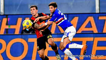 L'ex Sampdoria: «Derby col Genoa il migliore d'Italia. Su Ferrero...» - Sampdoria News 24