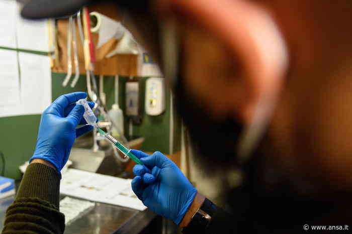 ANSA-IL PUNTO/ Covid:scuole; caccia a Capri con 500 esami - Agenzia ANSA