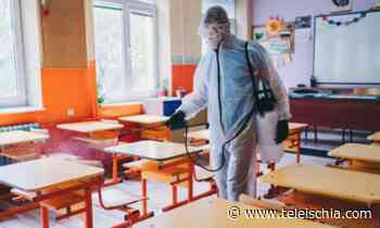 CAPRI. DA STAMANI 500 TAMPONI EFFETTUATI SU STUDENTI DI MEDIE ED ELEMENTARI, FAMILIARI E PERSONALE - TeleIschia