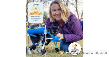 The ARM &amp; HAMMER™ Feline Generous Program Honors the Most Deserving "Unsung Heroes" at Cat Welfare Organizations and Awards their Shelters a Total of $30,000