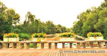 6 Unique Dining Experiences In And Around Calgary - TravelAwaits