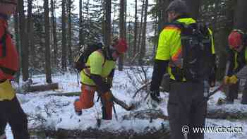 Volunteers help clear wind-toppled trees on popular trails near Bragg Creek, Alta.