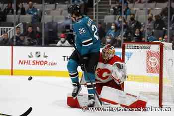 Hertl's hat trick leads Sharks past Flames 5-3 - Dawson Creek Mirror