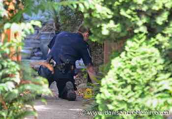 Court rejects appeal in violent New Westminster home invasion - Dawson Creek Mirror