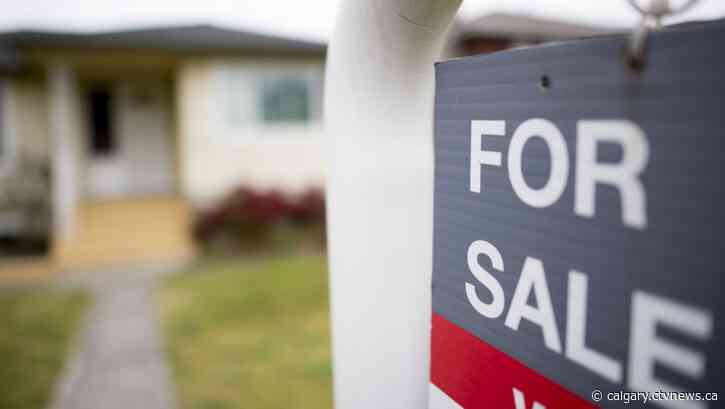 Calgary's Gen Z ready to get into the housing market, study says
