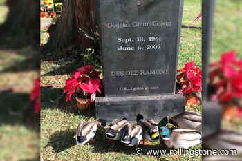 These Ducks Visit Dee Dee Ramone’s Grave Every Day