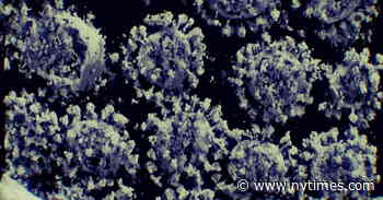 The Coronavirus Attacks Fat Tissue, Scientists Find - The New York Times