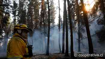 Conaf combate incendios forestales en Padre Las Casas y Traiguén