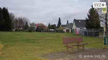 Parchim: Hund beißt kleinem Mädchen ins Gesicht | svz.de - svz – Schweriner Volkszeitung