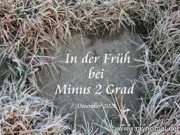 Frostiger Start in den 7. Dezember 2021 - Lutherstadt Wittenberg - myheimat.de