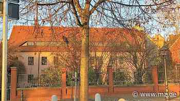 Das sind die Pläne für Baumpatenschaften in Wittenberg - Mitteldeutsche Zeitung