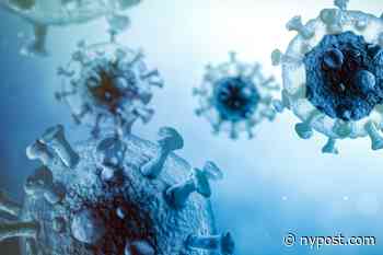Norway caps indoor gatherings to ward off coronavirus - New York Post
