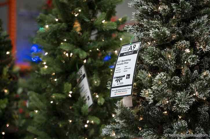 Does The Baltimore Area Prefer Real Or Fake Christmas Trees?