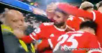 Bruno Fernandes lashes out at steward in incident during Man Utd goal celebration - The Mirror