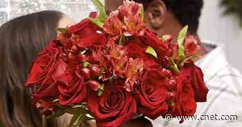 The Bouqs Co. holiday deals: Get more bloom for your buck on flower arrangements     - CNET
