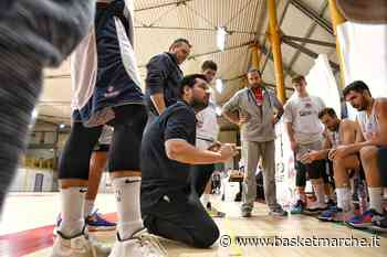 Virtus Assisi, coach Piazza ''Per battere una squadra come Foligno ci sarà bisogno di tutti gli effettivi in campo'' - Serie C Gold Girone Unico - Basketmarche.it